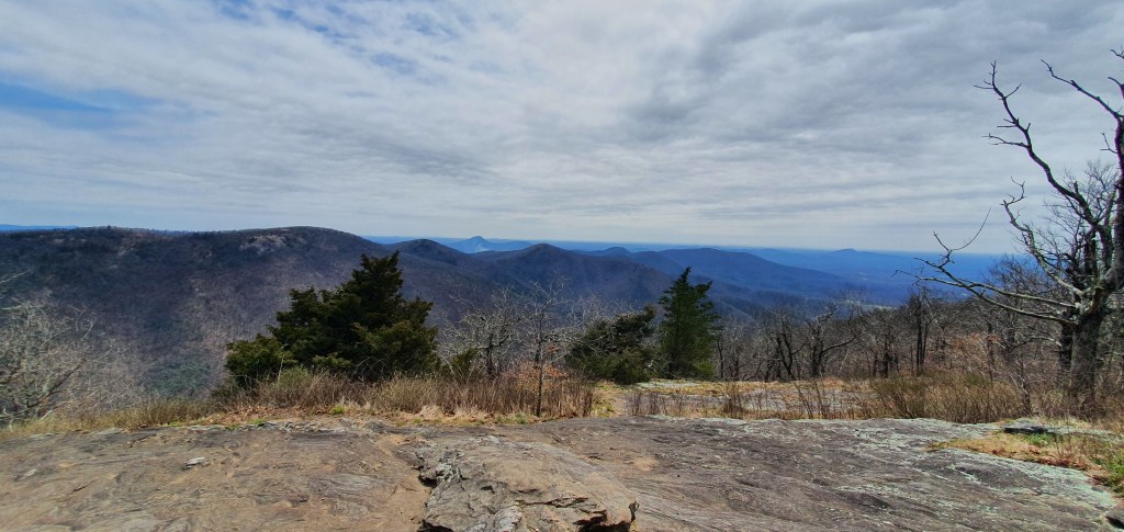 PCT 2016, 2019 vs AT 2022