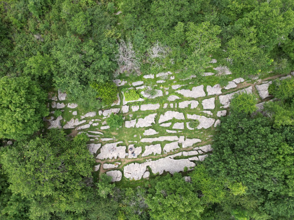 Labyrinthe Vert