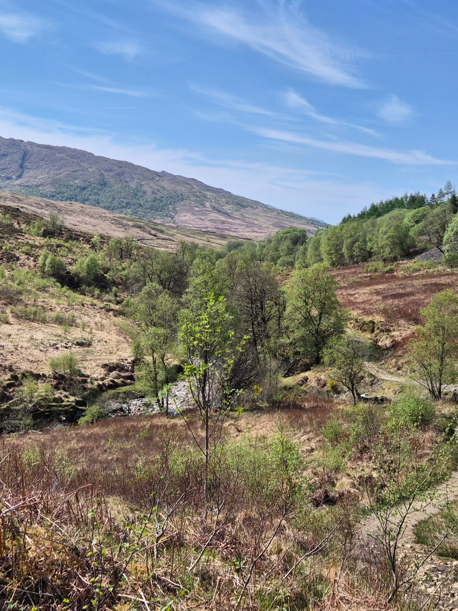 Crianlarich – A’Chrion-Làraich